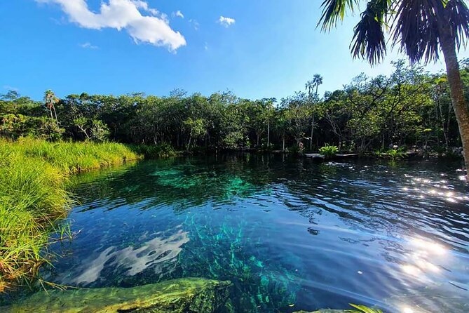 Explore Tulum Tour to Cenote and Ruins - Verified Positive Feedback and Service Quality
