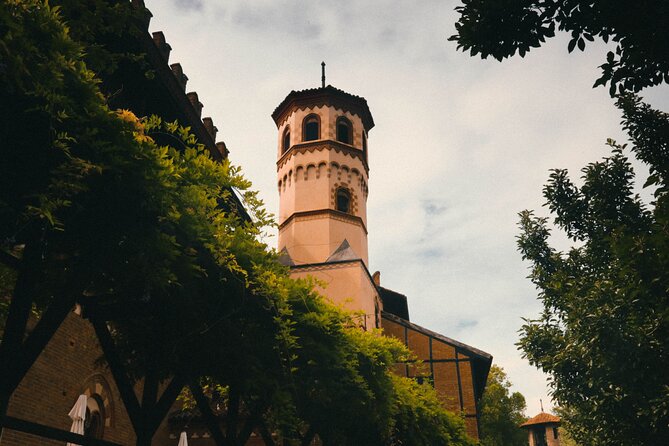 Explore Turin in 60 minutes with a Local - Explore Turin in 60 Minutes with a Local: A Fast-Paced Introduction to the City