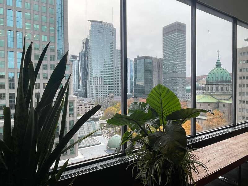 Explore Underground city & Downtown. Great tour to stay warm - What’s Included and What to Expect