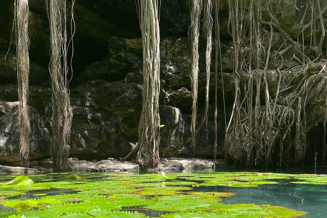 Explore Uxmal, 2 Magic Cenotes and Mayan Gastronomy - Logistics: Meeting Points, Transport, and Group Size