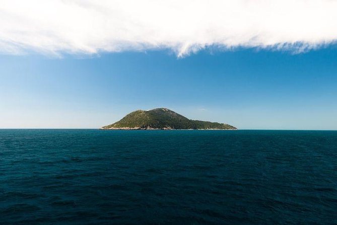 Explore Vlora Bay: Sazani Island &Karaburun peninsula from Tirana - Lunch and Swimming at Shen Vasili Bay