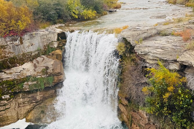 Explore Waterton National Park from Calgary Day Guided Tour - Wildlife Encounters at Bison Paddock Loop Road