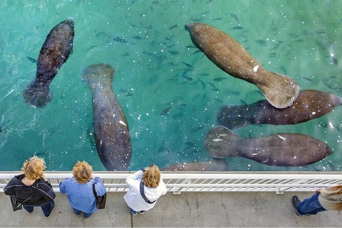 Explore Wildlife Sanctuaries on the WILD Palm Beaches Tour - Key Points