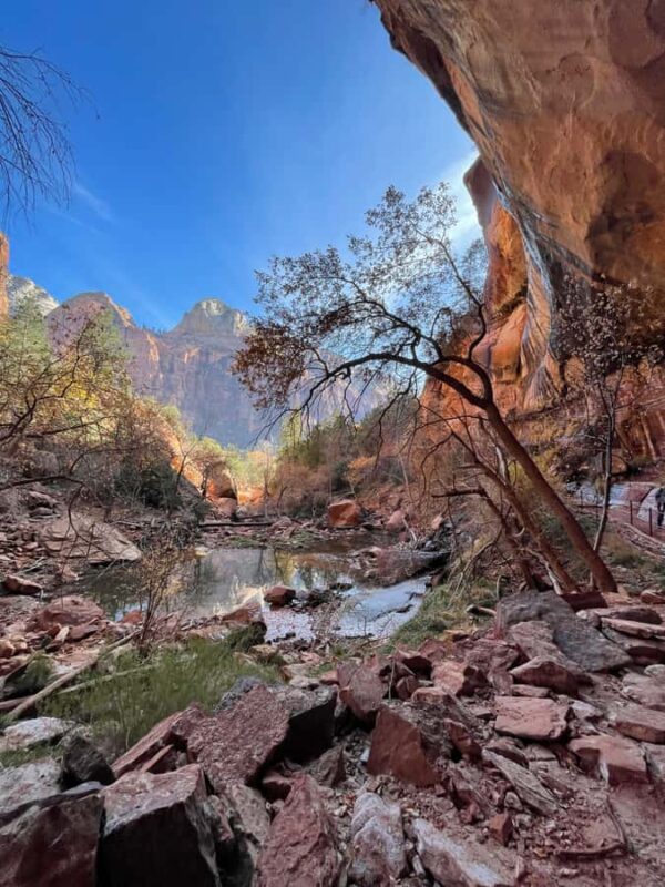Explore Zion: Private Hiking Photography Tour from Las Vegas - Picnic Lunch Amidst Zion’s Scenery