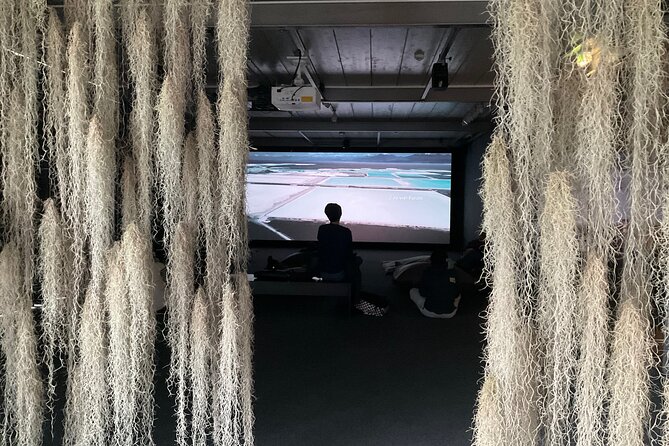 Exploring contemporary art: Private tour of museums with Tickets - Key Points