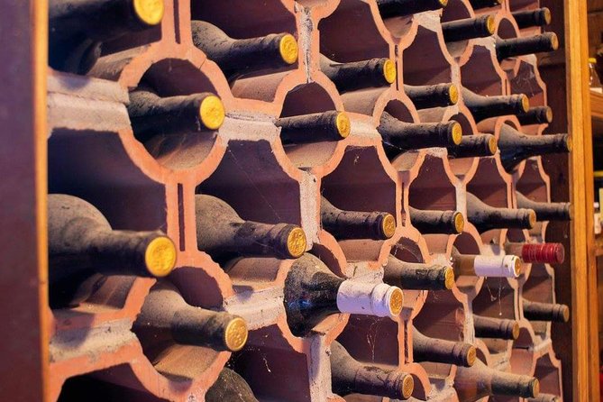 Exploring Off-Road Private Tour - Key Points