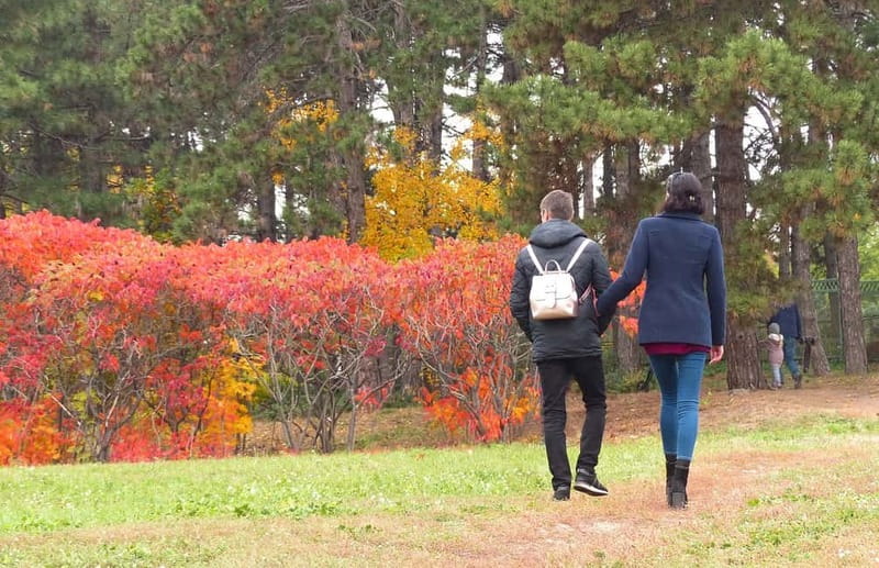 Exploring Sofia's Garden Wonders In A Private Tour - Final Thoughts on Sofia’s Garden Wonders