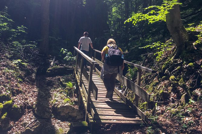 Exploring the Gutenstein Alps - Practicalities: Meeting Point, Group Size, and Weather