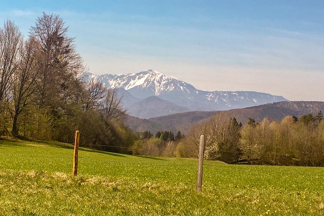 Exploring the Gutenstein Alps - Comparing This Tour to Other Experiences