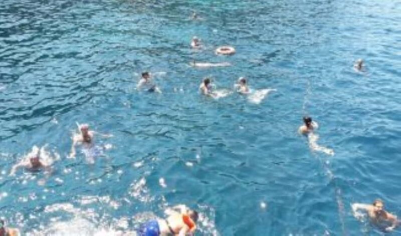 Exploring the island of Elba - Comparing Similar Experiences on Elba