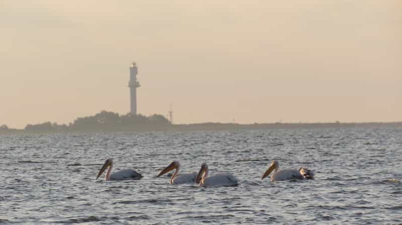 Exploring the Magic of the Danube Delta through photo lenses - Sunset Bird Photography at the Danube Spillway and Bird Island