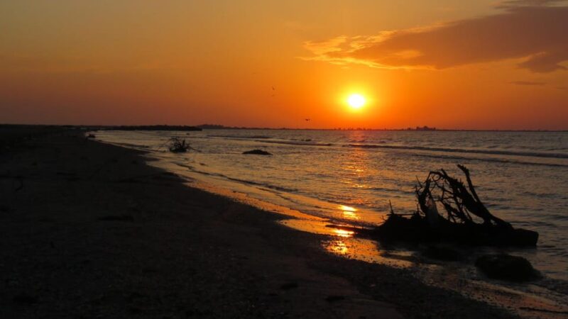 Exploring the Magic of the Danube Delta through photo lenses - Early Morning Bird and Wildlife Photography in the Delta Channels