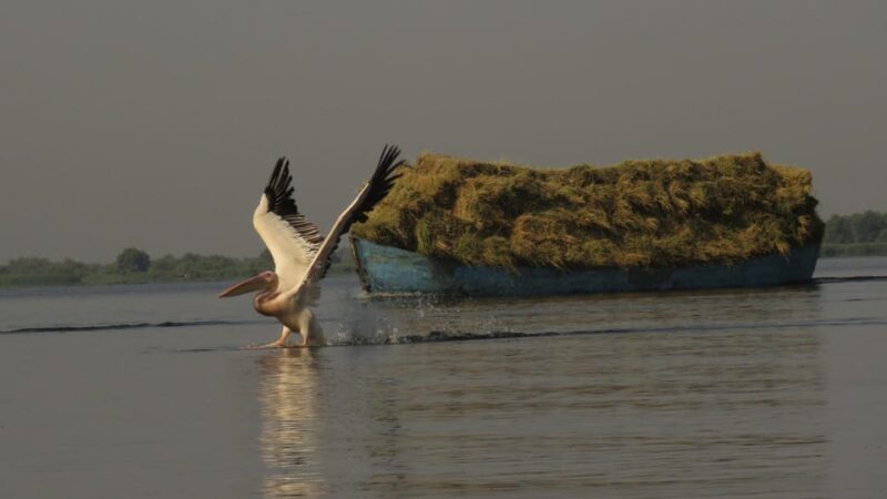Exploring the Magic of the Danube Delta through photo lenses - Final Morning and Departure from the Danube Delta