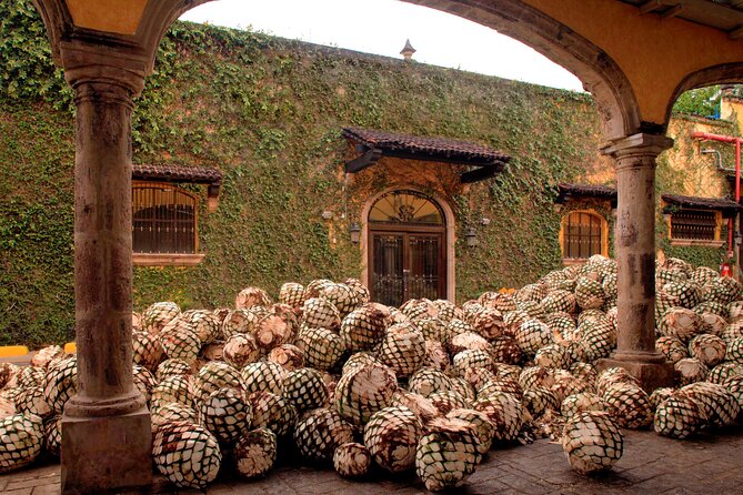 Express Dawn - Key Points