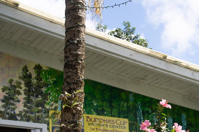 Express Kona Farms ATV Adventure Tour 30 Minute Excursion - Start at Buddhas Cup Kona Coffee and Tea Farm