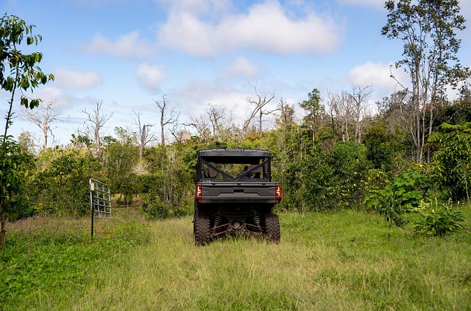 Express Kona Farms ATV Adventure Tour 30 Minute Excursion - Insights into Coffee Farming at Buddha’s Cup