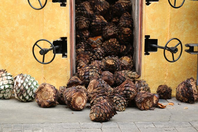 Express Sunset - Free Time in the Magic Town of Tequila