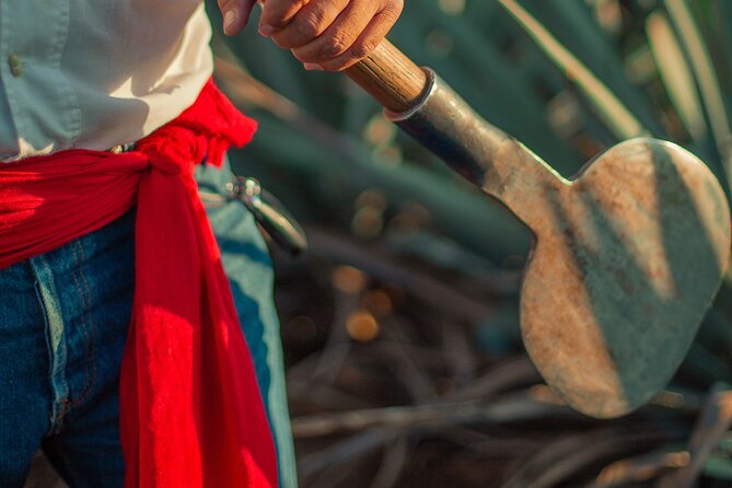 Express Sunset - Scenic Sunset Train Ride on the Jose Cuervo Express