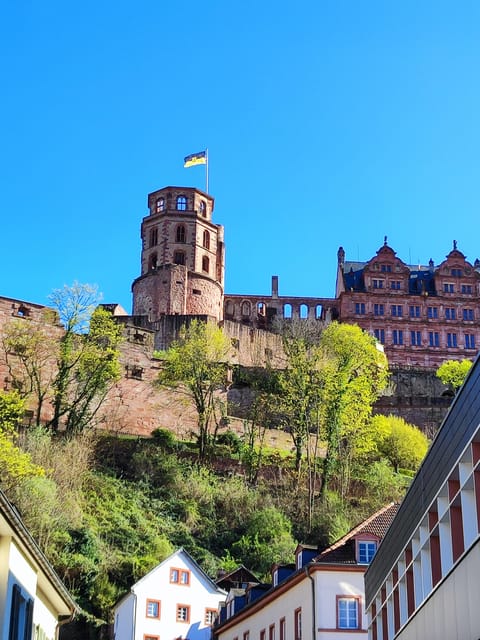 EXPRESS TOUR of Historic Heidelberg - The Highlights in 1 h - Practical Details: Logistics, Accessibility, and Tips