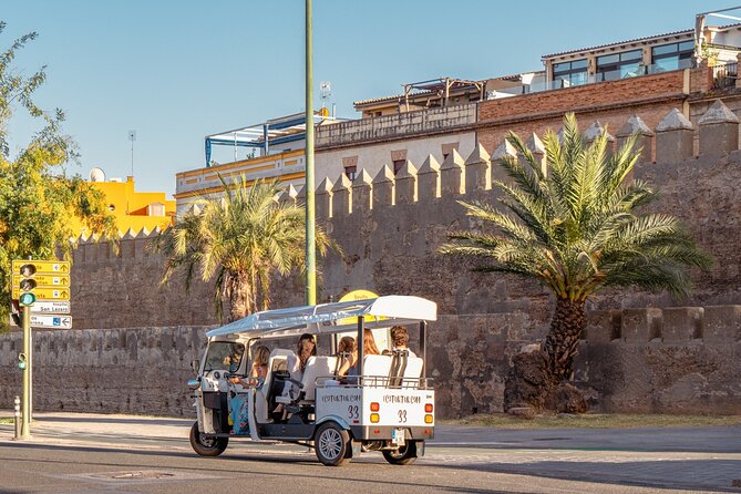 Express Tour of Seville in Private Eco Tuk Tuk - The Guide and Tour Experience
