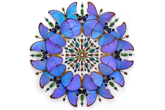 Exquisite Creatures Exhibit By Christopher Marley - Exquisite Creatures Exhibit By Christopher Marley: A Visual Feast in Seattle