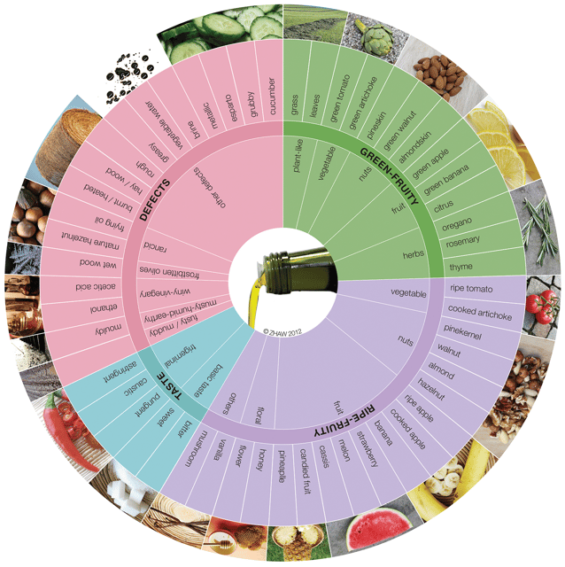 Extra Virgin Olive Oil Experience with Wine & Herbs - How to Taste and Evaluate Extra Virgin Olive Oil