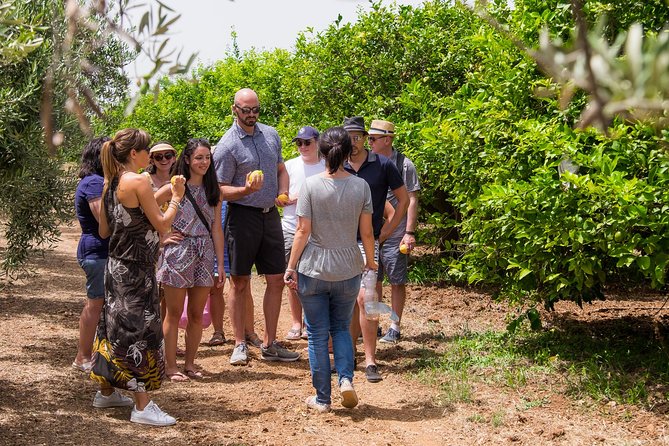 Extra virgin olive oil tasting in Syracuse - fairytale tour - Practical Details: Bookings, Cancellations, and Accessibility