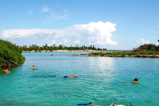 Extreme Day. Rappel, Ziplines & Snorkel with from Riviera Maya - Why Choose the Extreme Day Tour in Tulum?