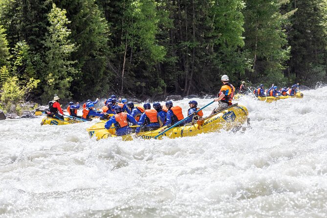 Extreme Whitewater Rafting on Kicking Horse River - What to Expect During the Rafting Experience