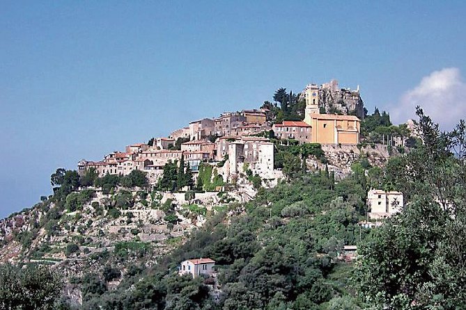 Eze Monaco and Monte-Carlo - private and Guided Half Day Tour - Comfortable Transport and Expert Guidance