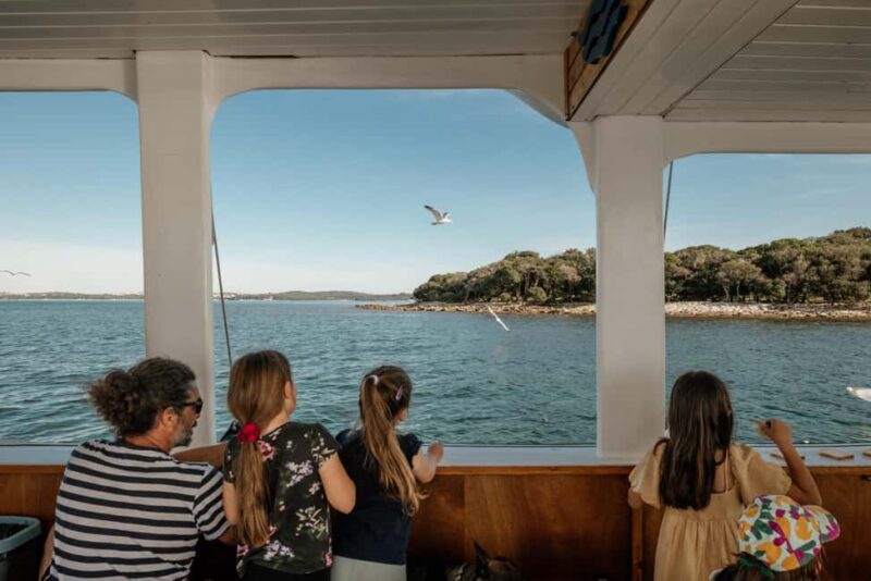 FAANA: DOLPHIN SAFARI - What You Can See Along the Way