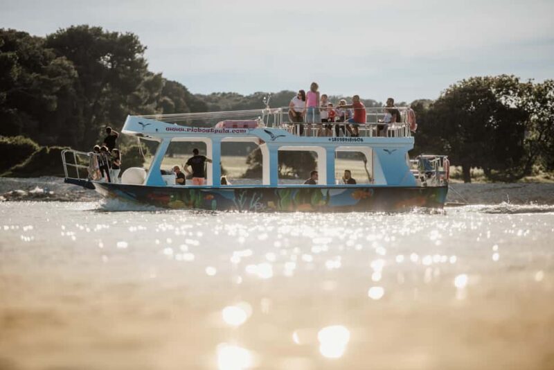 FAANA: DOLPHIN SAFARI - Reviews and Feedback Highlights