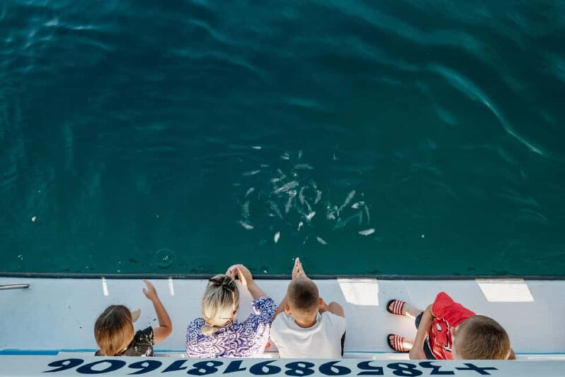 Faana: Glass Boat Tour of Brijuni National Park - Exploring Brijuni’s Roman and Venetian Heritage