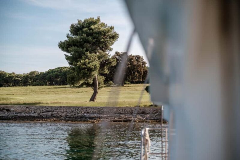 Faana: Glass Boat Tour of Brijuni National Park - Visiting the Uninhabited Jerolim Island and Its Peacocks
