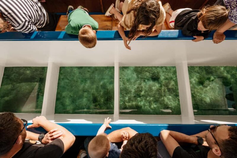 Faana: Glass Boat Tour of Brijuni National Park - Why This Tour Stands Out Among Similar Experiences