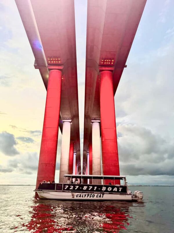 Fabulous Florida Sunset Cruise Including Dolphins - Discover the Beauty of the Fabulous Florida Sunset Cruise Including Dolphins