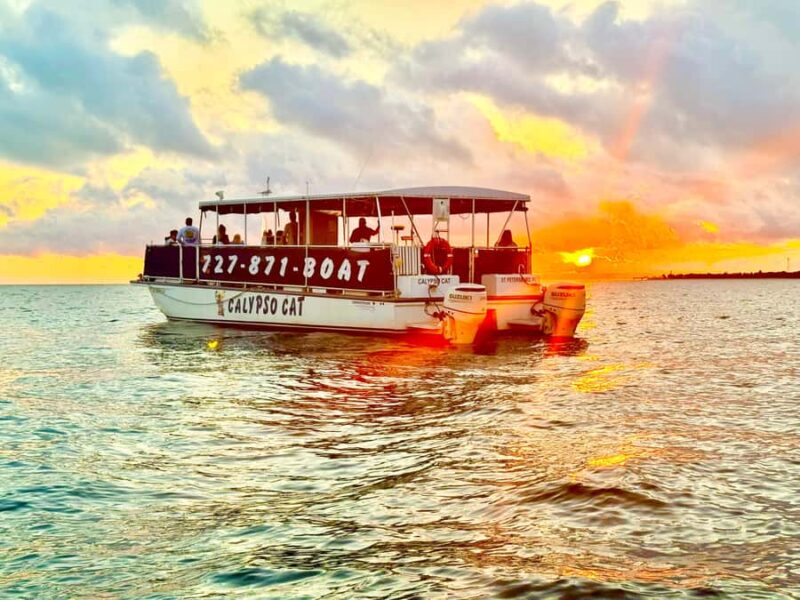 Fabulous Florida Sunset Cruise Including Dolphins - Watching Dolphins Play Alongside the Boat