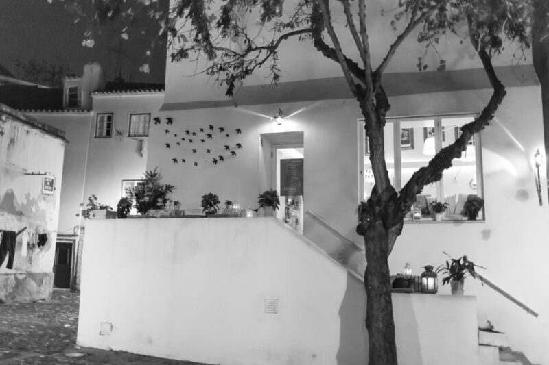 Fado: Musical Walking Tour + Food & Live Show - Accessibility and Limitations