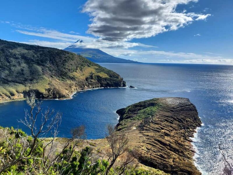 Faial Island: Full-Day Tour - Nature & Local Culture - Exploring Ponta Furada and Capelinhos Volcano