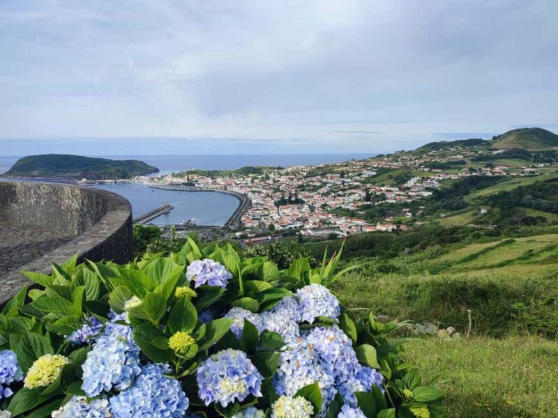 Faial Island: Full-Day Tour - Nature & Local Culture - Flexibility and Personalization
