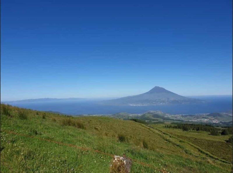 Faial Island Guided Eco Tour - Relaxed Meals and Scenic Picnics in Nature
