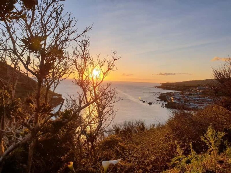 Faial Island Guided Eco Tour - Practical Details: Booking, Cancellation, and What to Bring