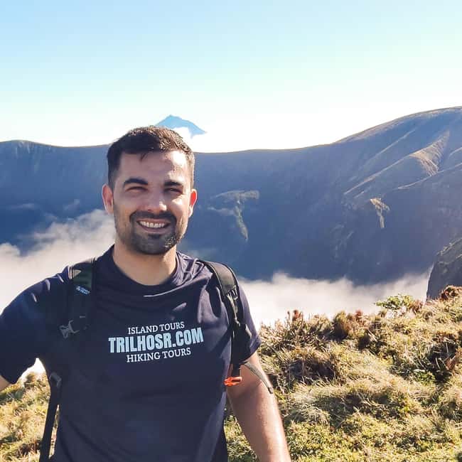 Faial Island Highlights: Half-Day Guided Tour - Key Points