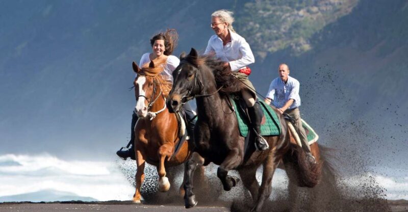 Faial Island: Horseback Riding (3 hrs - Experienced Riders) - Discover Faial Island’s Breathtaking Horseback Ride for Experienced Riders
