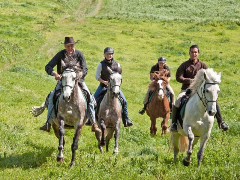 Faial Island: Horseback Riding (3 hrs - Experienced Riders) - Riding Along Faial’s Cliffs and Coastal Trails