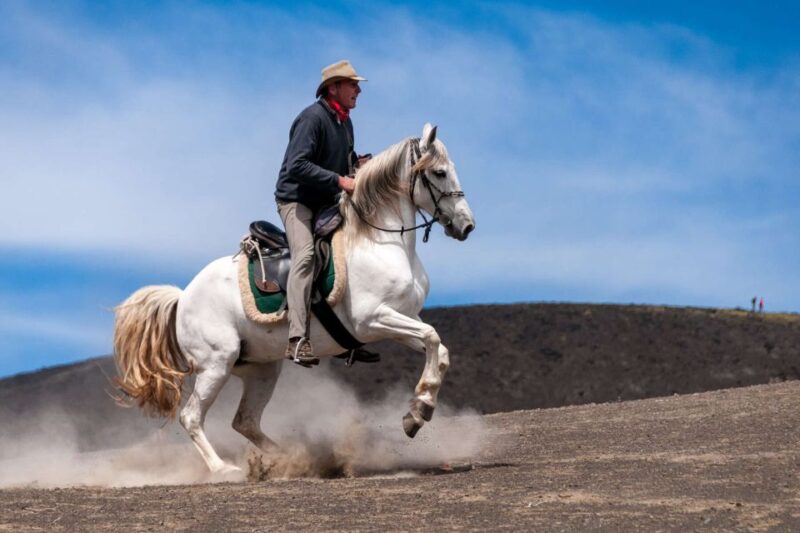 Faial Island: Horseback Riding (3 hrs - Experienced Riders) - Logistics and Meeting Point Details