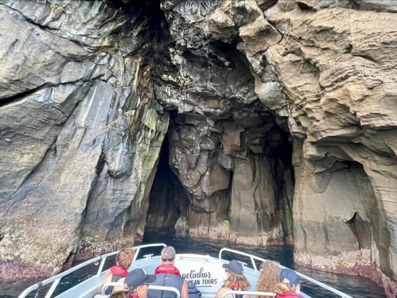 Faial Island: Unique boat tour to the Capelinhos volcano - Explore Faial Island from the Sea on a Unique Boat Tour to the Capelinhos Volcano
