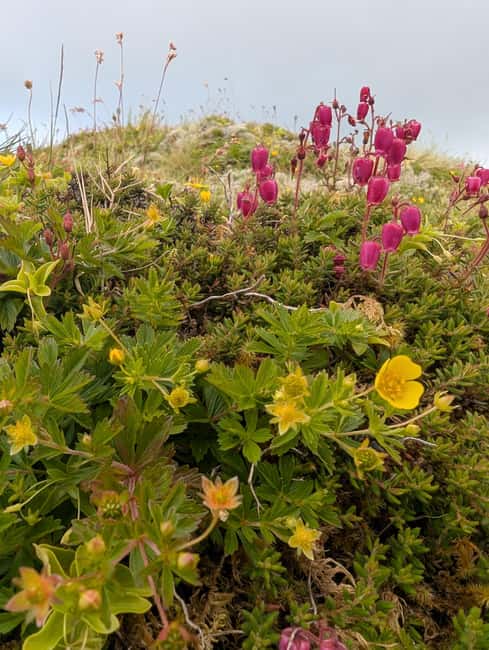Faial: Private 4WD Full Day Island Tour with Local Guide - The Capelinhos Volcano Interpretation Center