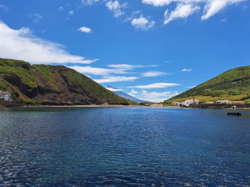Faial: Private 4WD Half Day Island Tour with Local Guide - Reviews Highlight the Experience