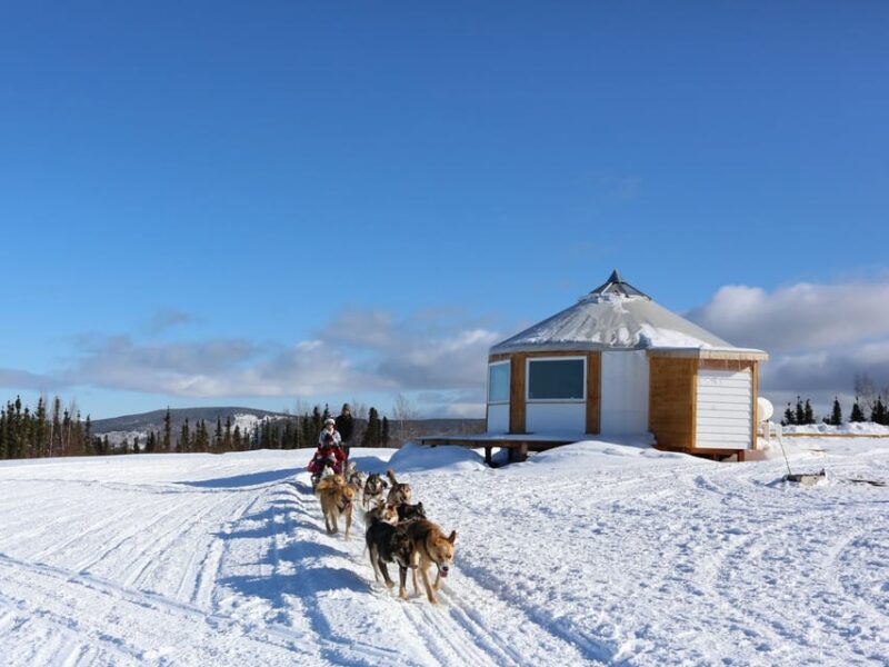 Fairbanks: 1-Hour Alaskan Winter Dog Sledding Adventure - Accessibility and Physical Requirements